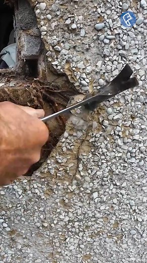 497K views · 1.8K reactions | Replacing a ROTTEN Window in a Conservatory #windows #windowinstallation #conservatory #buildingconstruction | Flawless Cleaning services | Facebook