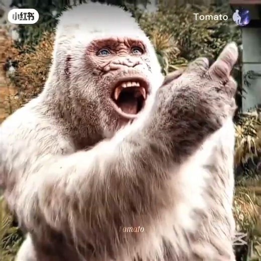 Rampage 🦍 funnyMoment 🔥