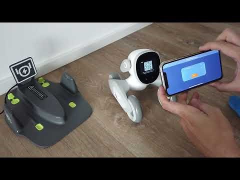 Loona Roboter Installation Deutsch