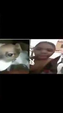 Esse cachorro vai já morrer viu, só comendo pão com banana