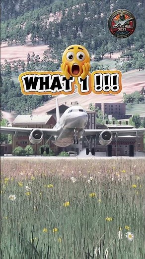 2 bowls at Paro #game #msfs2024 #airplane