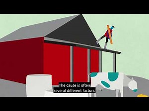 Fatal accidents at work - Falls from heights