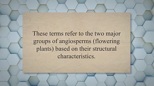 Differences between monocots and dicots in botany