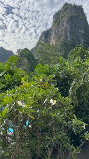 Krabi is one of the most beautiful provinces in southern Thailand, known for its dramatic limestone cliffs, crystal-clear waters, lush jungles, and stunning beaches. It’s a top destination for both relaxation and adventure. Some of the most popular spots include Railay Beach, Ao Nang, Phi Phi Islands, Hong Islands, and the Emerald Pool. Krabi also offers world-class rock climbing, island hopping tours, snorkeling, scuba diving, and kayaking through mangroves. The town itself is more relaxed than