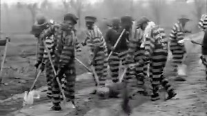 342K views · 1.7K reactions | Are we really living in a post-racial America? "American Denial" premieres Monday on PBS. | Independent Lens | PBS | Facebook