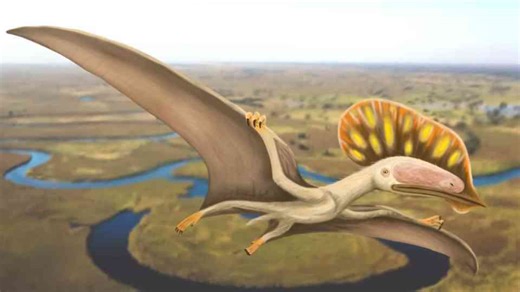 How an unusual predator revealed a forgotten world of ancient waterways