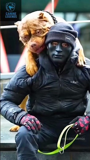 The Scariest Dog Breeds You Should Avoid