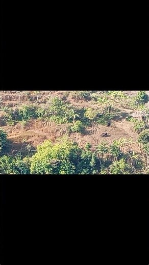 💍 औंठी कुशैको | Bimalraj Chhetri ❤️ Bishnu Majhi