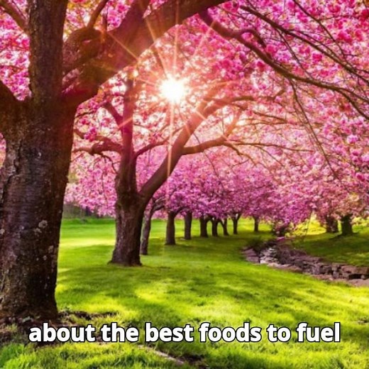 What Do you need in this season I 5 Best Spring Foods To Eat