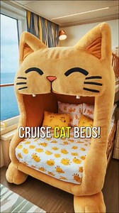 14K views · 112 reactions | OMG! ⛴️ You HAVE to check out these insanely cute cat-shaped beds on a cruise! Seriously, can you imagine sleeping in a comfy bunk bed shaped like a giant cat head?  Whether you’re a cat lover or just obsessed with fun, unique cabin designs, this is a dream come true! Who’s ready for their next cruise?  #cruisetravel #cruiseship #TravelFun #cruiselife #cruisevacation | Cruising Lab | Facebook