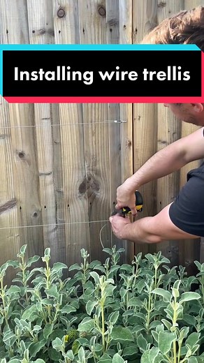 How to Install Wire Trellis: Step-by-Step Guide