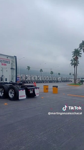 #💊🦫🐖 #kenworth🦫 #convoy #Castores