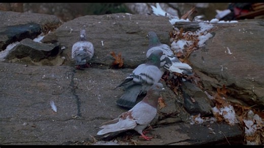 Home Alone 2 - Part 4