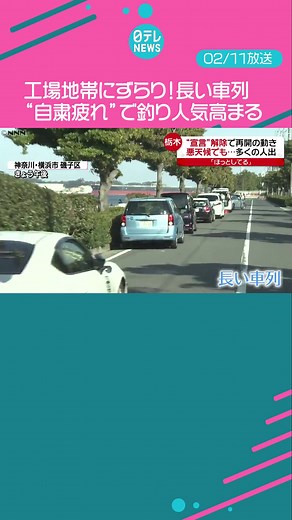 TikTokで日テレニュースさんをチェック！