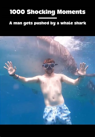 Incredible Whale Shark Encounter in Oslob, Cebu