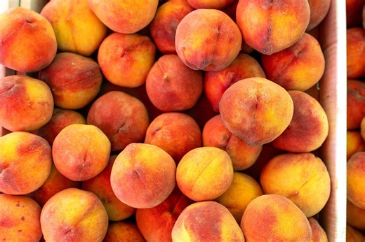 Urgent FDA Alert: Trader Joe’s and Kroger Recall Peaches Sold Nationwide for Possible Listeria Contamination