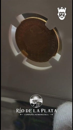 Argentine half. 1784. A VERY RARE gold coin of EXCELLENT quality