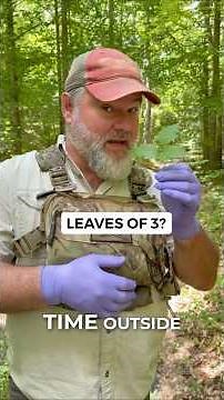 How to Identify Poison Ivy Before It Gets You