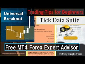 Free EA [Universal Breakout] MQL5 #Tick Data Suite #QuantAnalyzer
