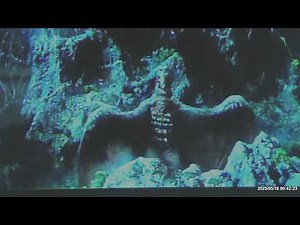 Destroy All Monsters - Godzilla and Rodan