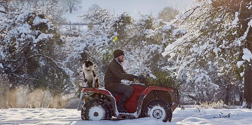 This is why we kiss under the mistletoe