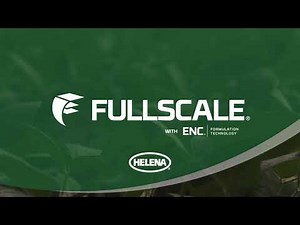 Fullscale Benefits and Uses