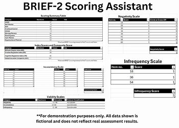 BRIEF-2 Scoring Assistant