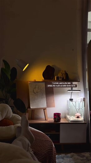 Đăng nốt cái bể trống trơn trước khi setup #nemo #rongnhotươi