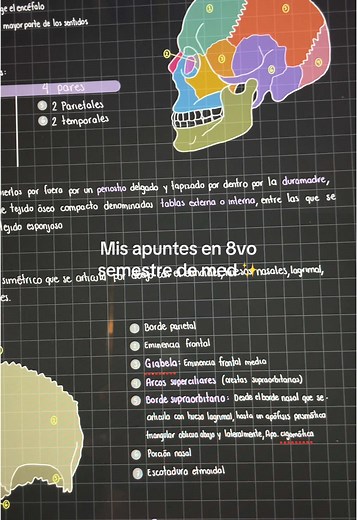 Apuntes de Medicina: Primer y Octavo Semestre