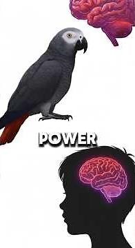 Talking Parrot Shocks Everyone 🦜 Speaks Full Sentences on Camera! #Shorts #Animals