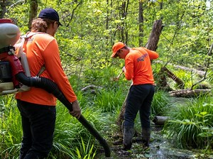Milford Begins Its Mosquito Control Program