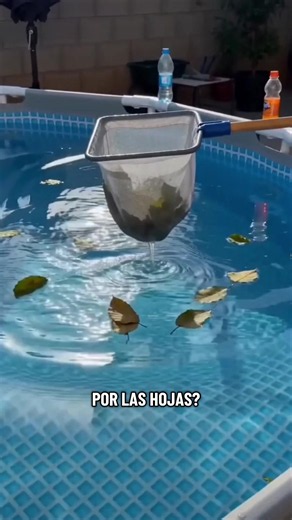 Cobertor para piscinas desmontables INTEX 🩵Compatible con modelos de estructura metálica y prism frame de 366 cm.Protege tu piscina y mantén el agua limpia por más tiempo.#CobertorPiscina #AccesoriosPiscina #PiscinaDesmontable #INTEX #ArticulosJardin