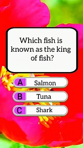 Do you know which fish is called the king of fish? 🐟👑 Test your knowledge and see if you can get it right! Comment your answer below! ✅ #quiz #braintest #usa #riddles #puzzle #brainteaser #USAToday #fblifestyles #trivia #usareels | Think Bit