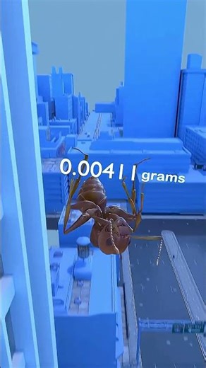 What would happen if an ant were dropped from the sky?