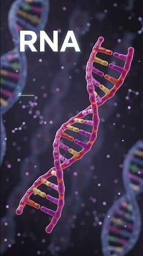 🧬 DNA vs RNA Explained in Minutes! | The Secret Code That Controls Every Cell in Your Body 🤯
