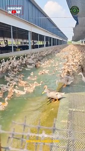 28K views · 148 reactions | Nestled in the heart of the countryside,...