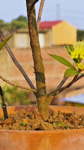 92K views · 698 reactions | Unlock Pure Power: Casa De Amor...