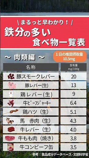 【まるっと早わかり表】鉄分が多い食べ物一覧 #貧血 #貧血改善 #鉄分 #鉄分補給 #妊婦 #健康