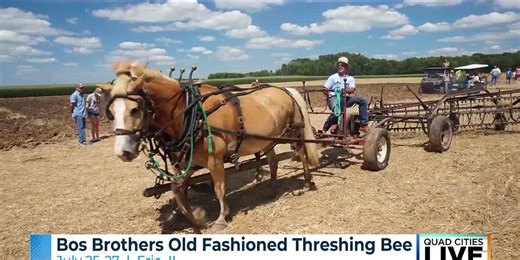 Erie historical farm celebrates 10 years of living history with Threshing Bee Weekend