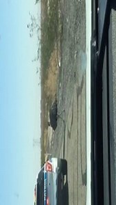 VIDEO: Emu on the loose on Interstate 10, west of Phoenix. STORY: http://bit.ly/2dudOT9 | ABC15 Arizona