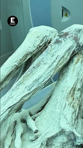 Supuestas momias alienígenas tienen huellas dactilares