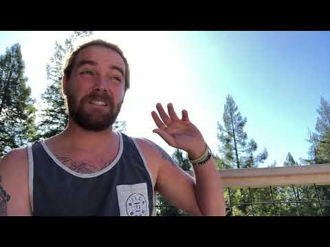 Human Design 6/2 profile explained