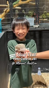 Save this 🐾 for your September school holi trip to JB! Too cute to miss! 😉🫰🏻 Sharing our Mount Austin little adventures, we absolutely loved visiting pet cafes & zoos, and we found these 3 pet cafes that have really adorable little animals for gentle interaction! 🐾Shi-Ba cafe: What’s app 60 11-1193 9795 to book slots, each slots per hour only, can feed the doggies and take photos with them! Drink & Ice cream for Hoomans. 🐾 Chill & Chow: cafe by ng kitchen We walked in, per slot comes with 