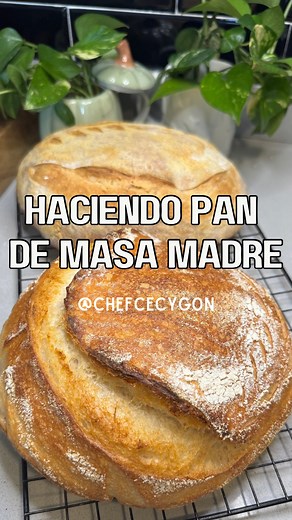 24K views · 114K reactions | En este vídeo les enseño de principio a fin cómo hacer un pan de masa madre. #sourdough RECETA 3 - un pan más ácido. 240 gr de Juan (masa madre) 720 de agua temp ambiente 1040 gr de harina de fuerza 12 gr de sal Fermentar por 8-10 hrs en área fría (clima en 22C) Y fermentación en frío por 6-8 hrs (refri) | Cecy Gonzalez | Facebook
