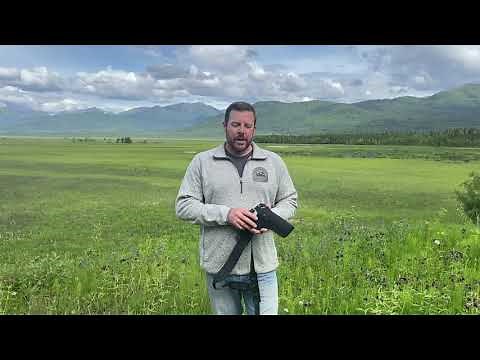 How to wear and adjust The Denali Chest Holster