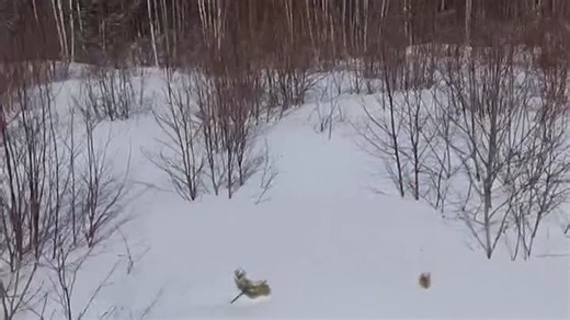 Видео 2 | OK.RU