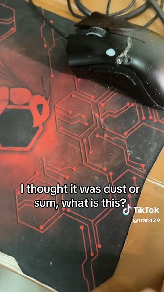 How to Identify and Deal with Household Insect Issues