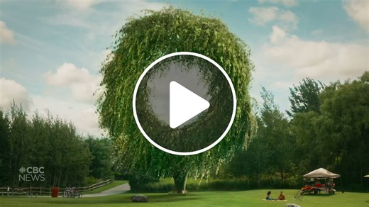 Generic Ozempic is coming to Canada. This company wants to make it - NewsBreak