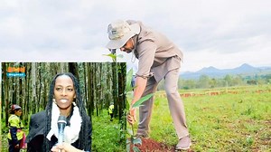 My Interview with AMN-Addis Media Network በጠቅላያችን መሪነት ኢትዮጵያ ለወደፊቱ ትውልድ አረንጓዴ ተስፋን ተክላለች! በመሪያችን ኮርተናል። | Hana Abiy Ahmed