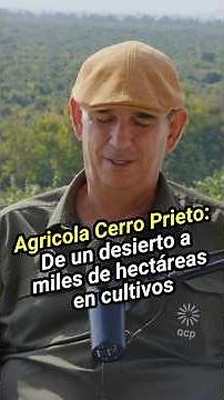 Convirtieron el desierto en una potencia agrícola